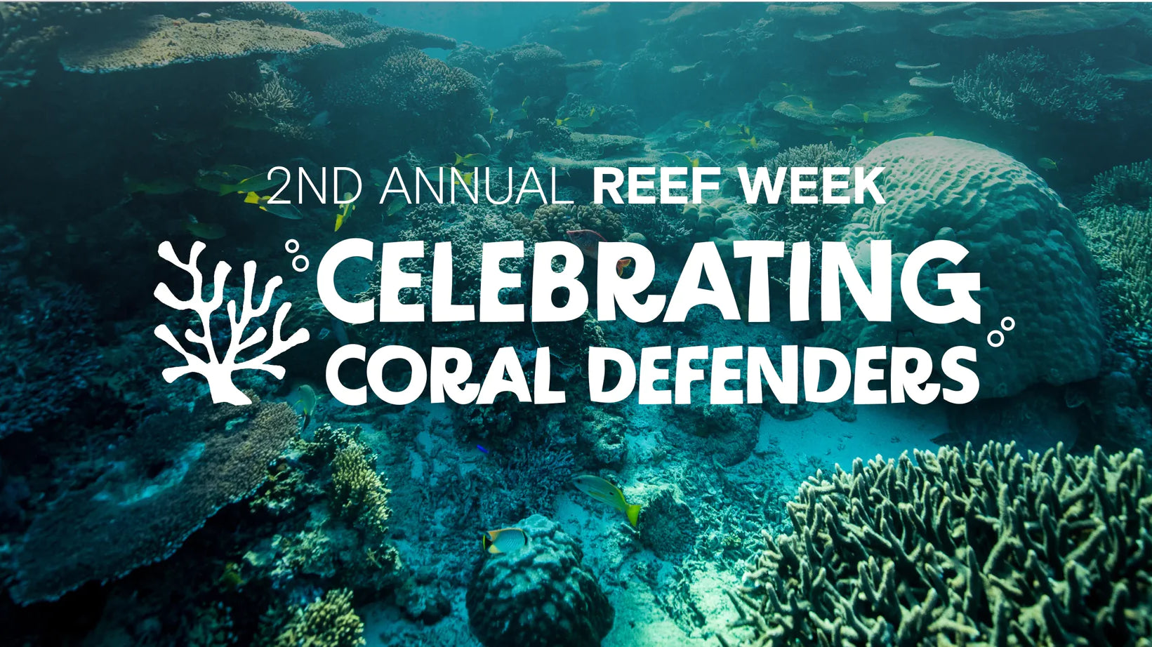 TAKING TIME TO REEF-LECT